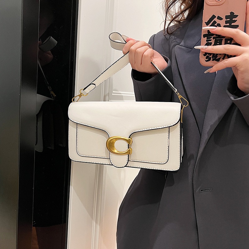 New niche bag women's premium  - Luxury Bags Coach 리뷰 및 가격