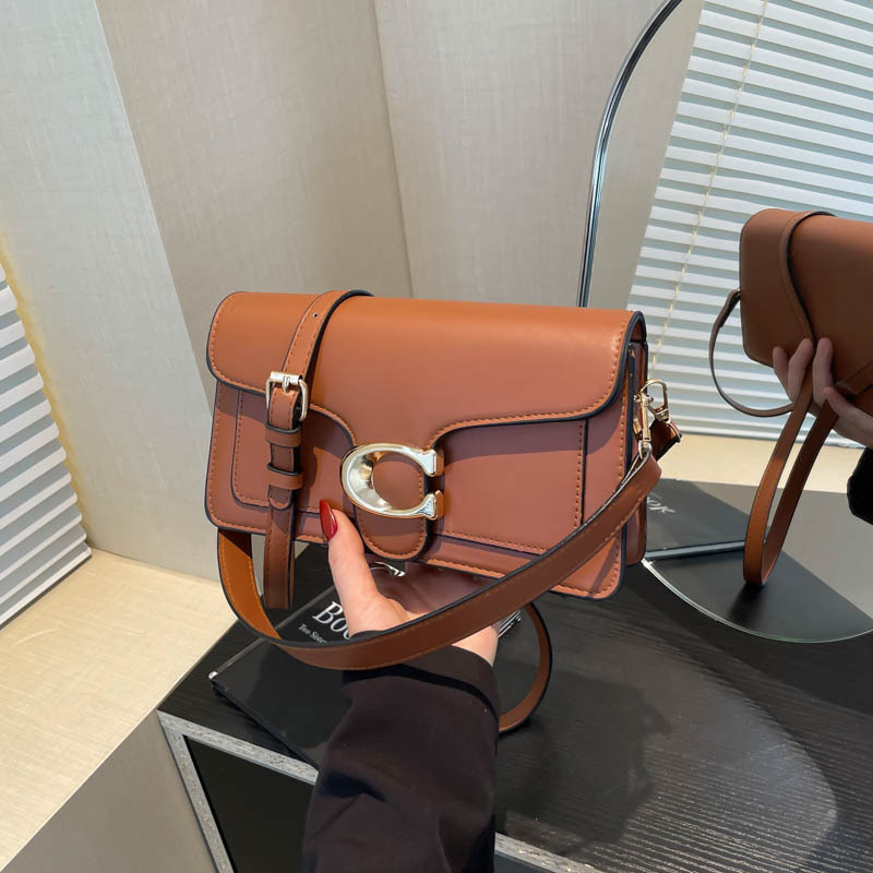 Niche Luxury Solid-Color Tote  - Luxury Bags Coach 리뷰 및 가격