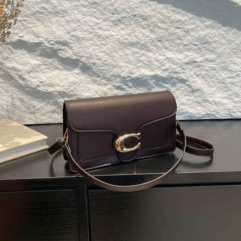 Niche Luxury Solid-Color Tote  - Luxury Bags Coach 리뷰 및 가격