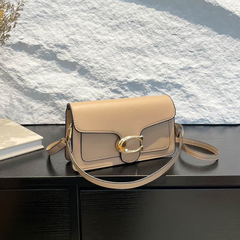 Niche Luxury Solid-Color Tote  - Luxury Bags Coach 리뷰 및 가격