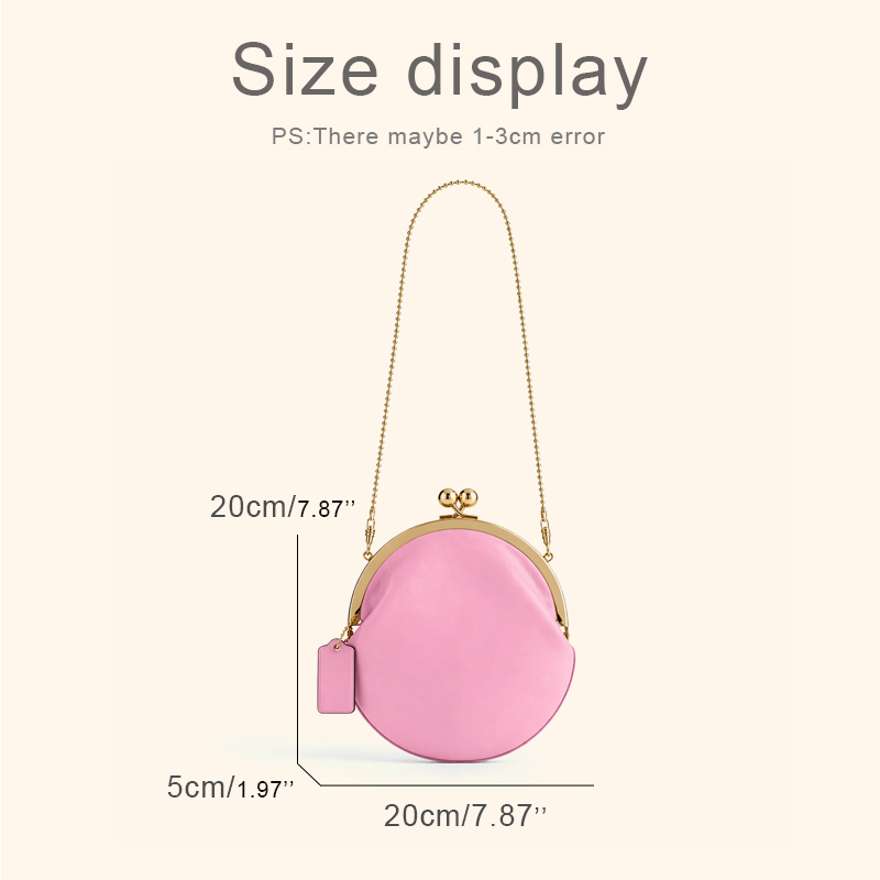Kisslock Pouch 20cm Clutch Cli - Luxury Bags Consignment 리뷰 및 가격