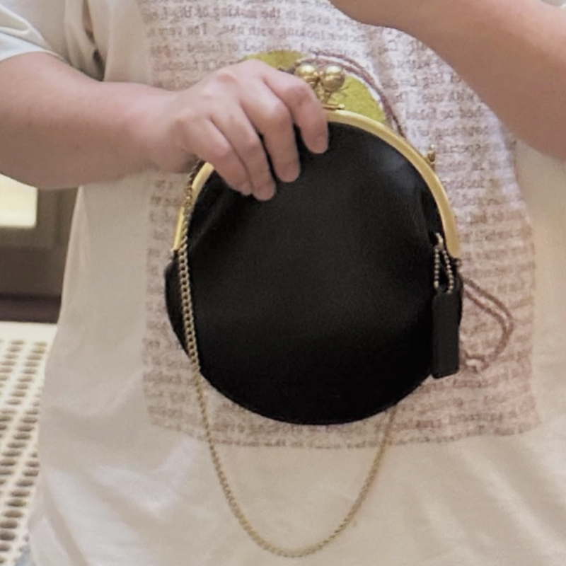 Kisslock Pouch 20cm Clutch Cli - Luxury Bags Consignment 리뷰 및 가격